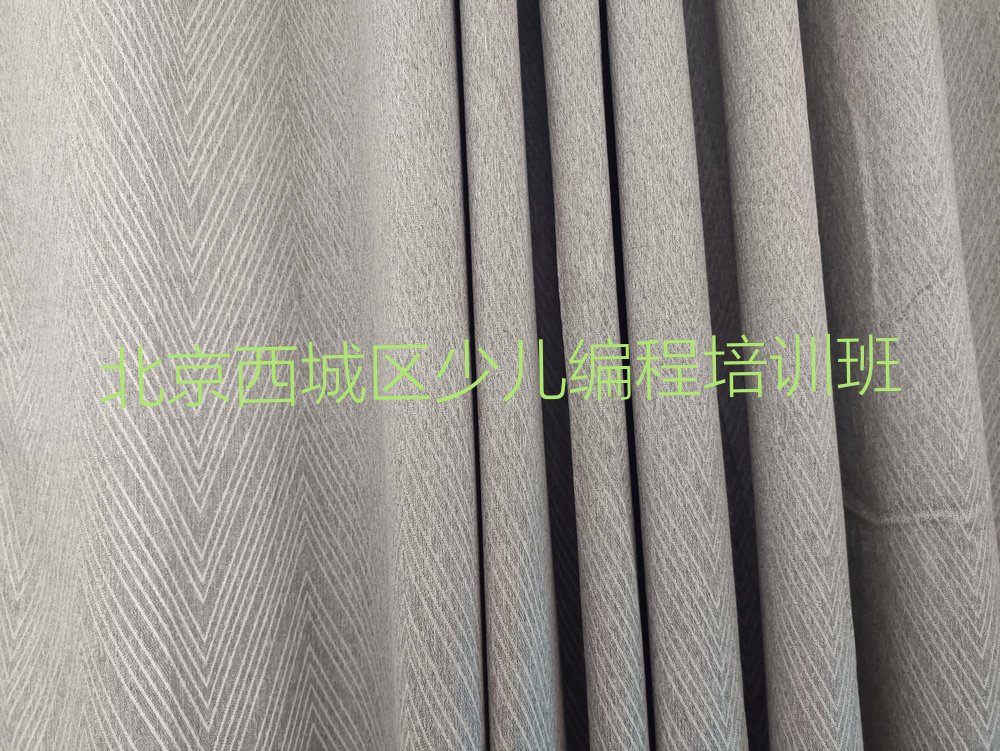 十大北京西城区儿童编程怎么选儿童编程培训学校排行榜