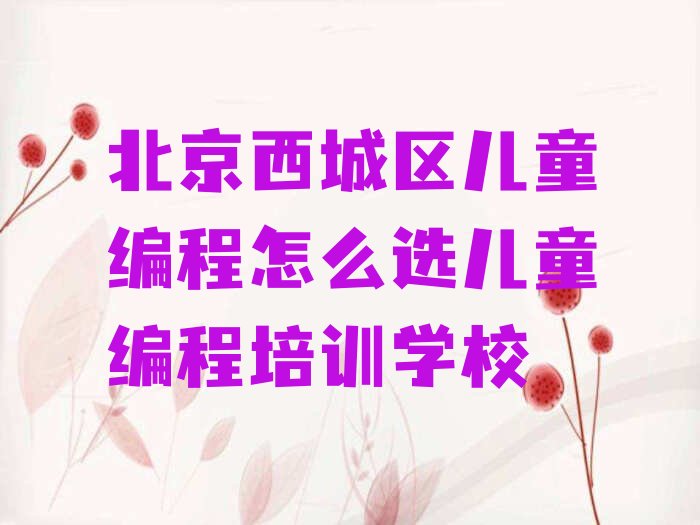 北京西城区少儿编程培训班