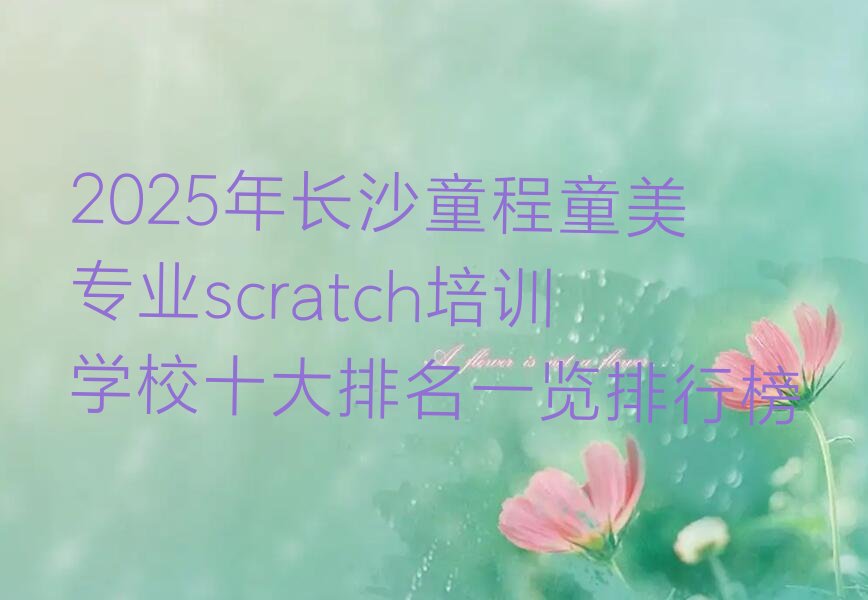 长沙雨花区跳马镇scratch培训学校