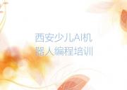 西安新城区少儿AI机器人编程培训课程推荐