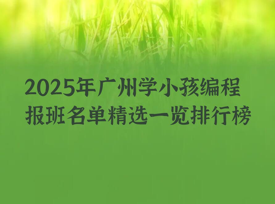 广州荔湾区小孩编程培训学校