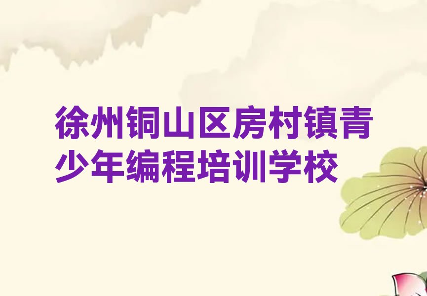 徐州铜山区房村镇青少年编程培训学校