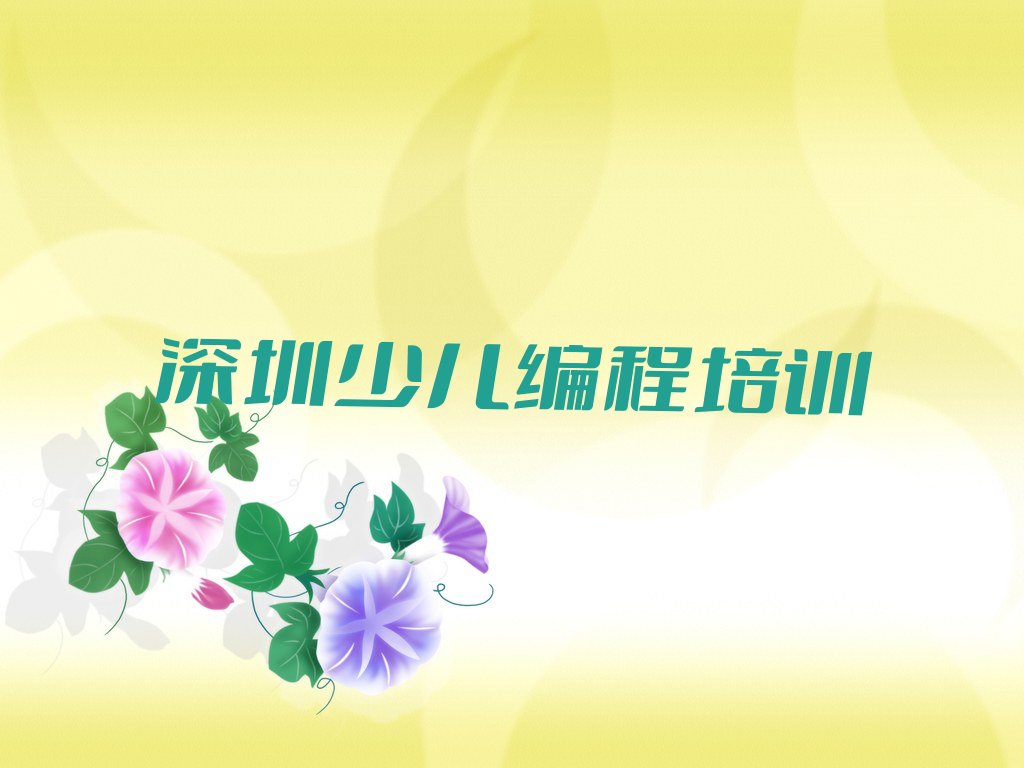 深圳龙岗区青少年无人机大赛培训学校