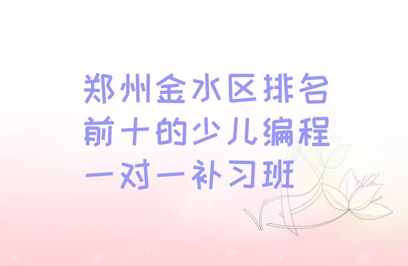 十大郑州金水区排名前十的少儿编程一对一补习班排行榜