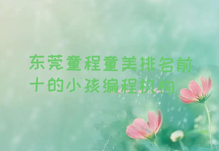 十大东莞童程童美排名前十的小孩编程机构排行榜