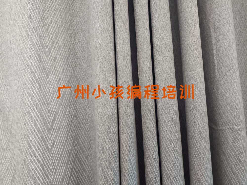 广州荔湾区小孩编程培训学校