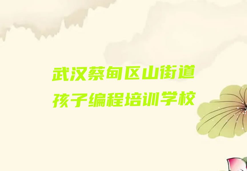武汉蔡甸区山街道孩子编程培训学校