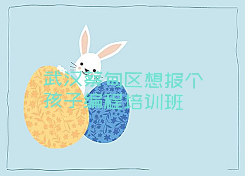 武汉蔡甸区山街道孩子编程培训学校