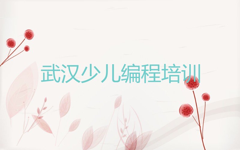 十大武汉开发区少儿编程培训中心机构环境怎么样？名单排行榜一览排行榜