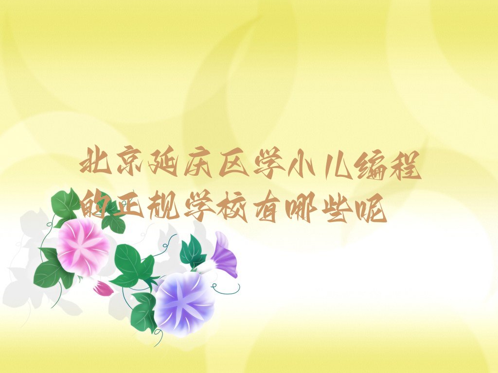 北京延庆区少儿编程培训学校