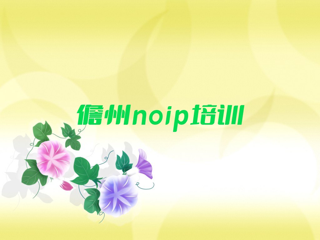 儋州noip培训学校