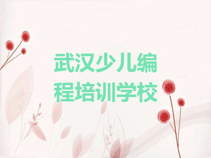 武汉少儿编程培训学校
