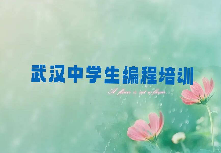 武汉硚口区少儿编程培训
