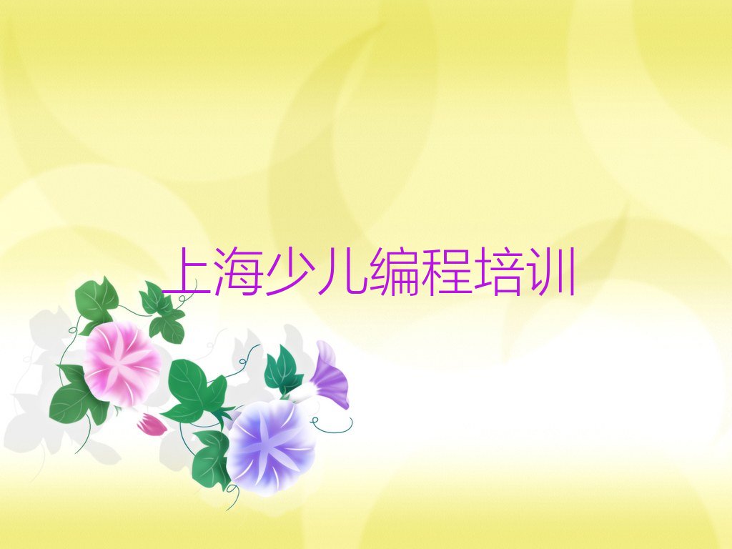 上海普陀区少儿编程培训学校