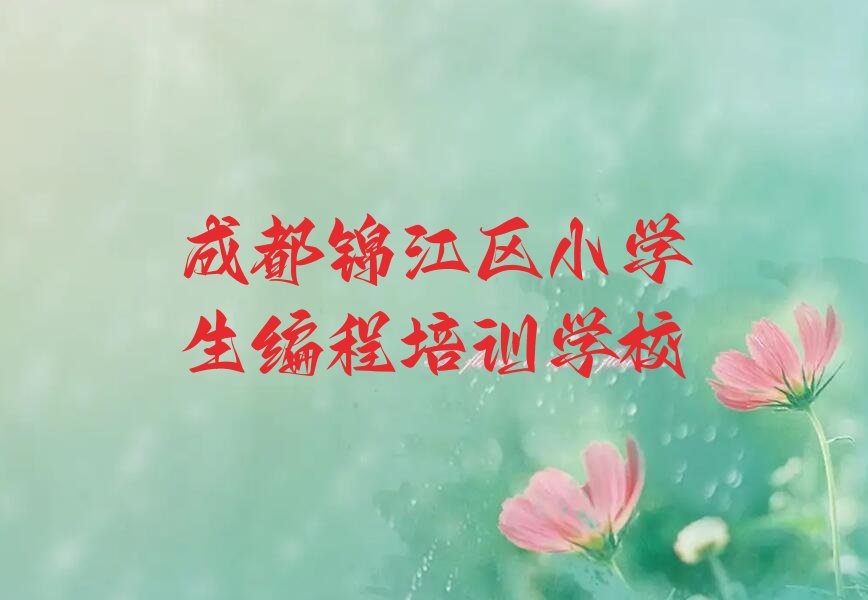 成都锦江区小学生编程培训学校