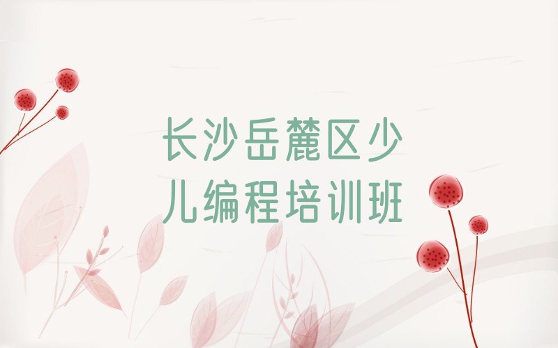 长沙岳麓区少儿编程培训班