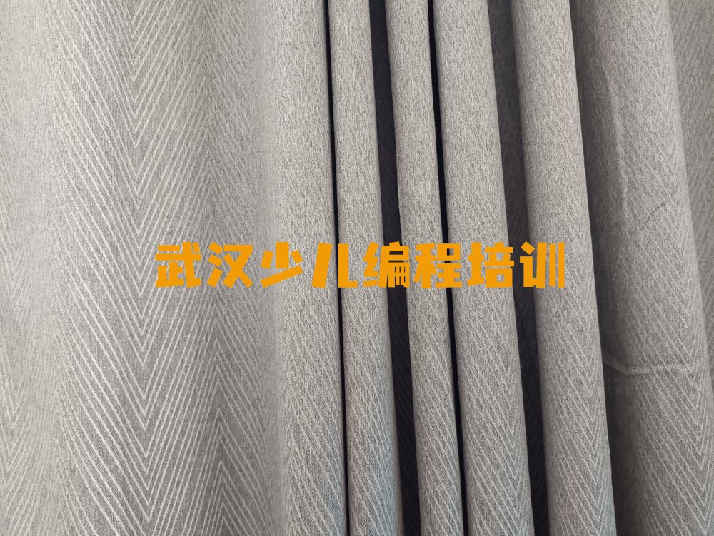 十大武汉张家湾街道童程童美孩子编程哪个学校好十大排名一览排行榜排行榜