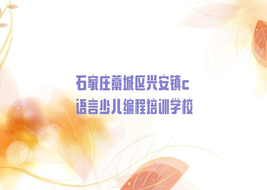 石家庄藁城区兴安镇c语言少儿编程培训学校