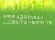 泰安泰山区学Python人工智能学费一般是多少钱