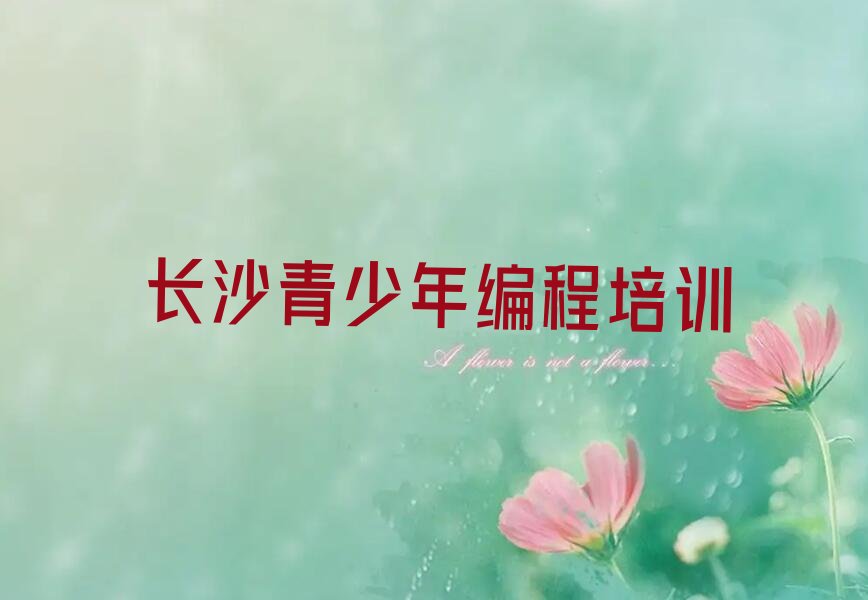 长沙芙蓉区韭菜园青少年编程培训学校