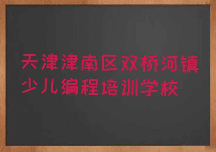 天津津南区双桥河镇少儿编程培训学校
