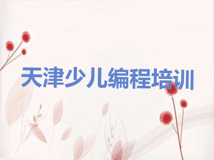 天津津南区双桥河镇少儿编程培训学校