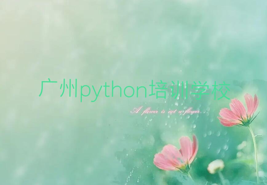 十大2025广州龙穴街道python班十大名单榜一览排行榜排行榜