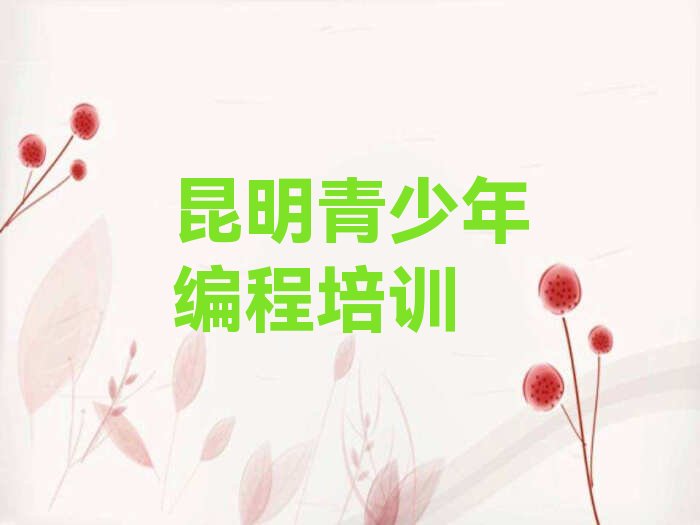昆明呈贡区少儿编程培训学校
