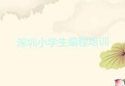 深圳南山区小学生编程培训学校正规的