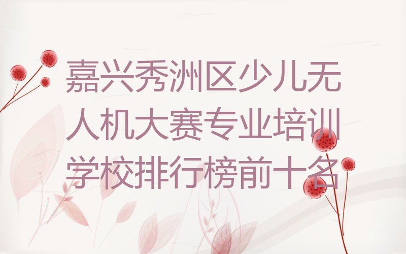 十大嘉兴秀洲区少儿无人机大赛专业培训学校排行榜前十名排行榜