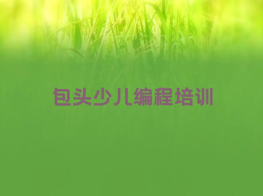 包头石拐区少儿编程培训班