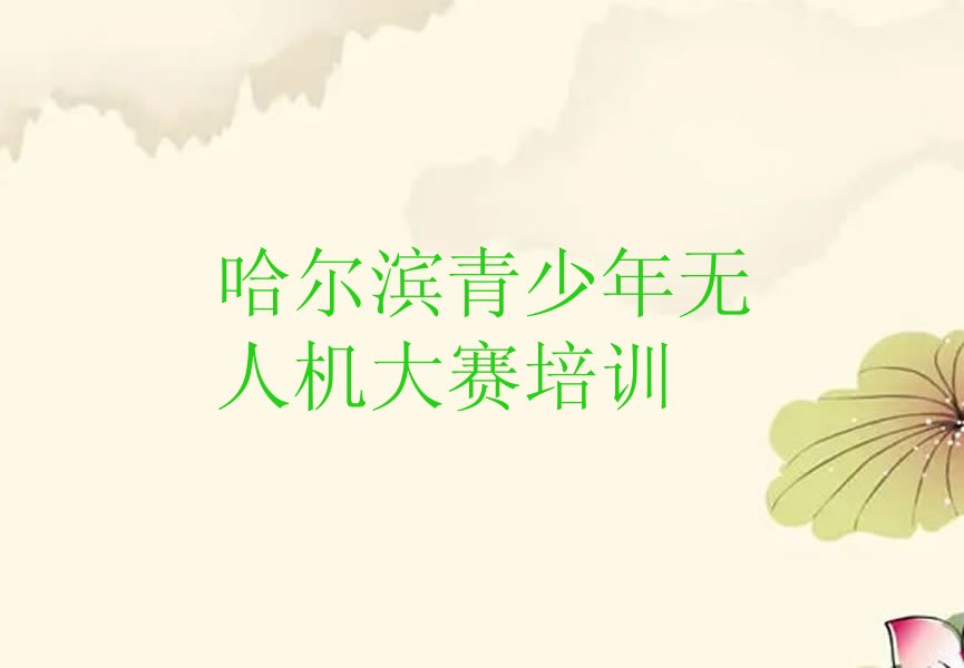 哈尔滨南岗区先锋路青少年无人机大赛培训学校