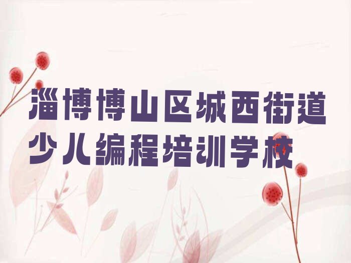 淄博博山区城西街道少儿编程培训学校