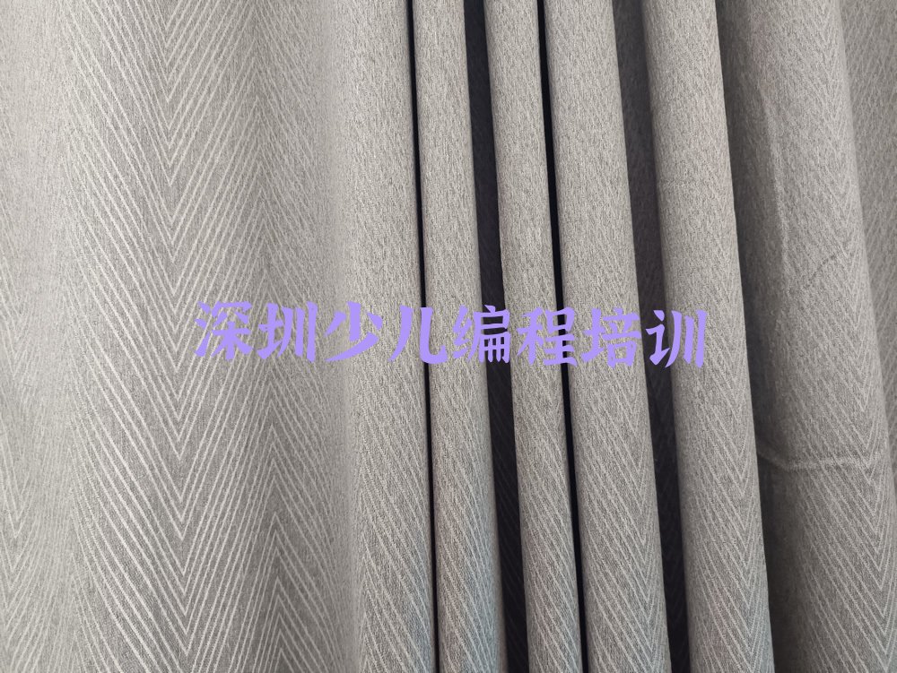 深圳光明区凤凰街道少儿编程培训学校