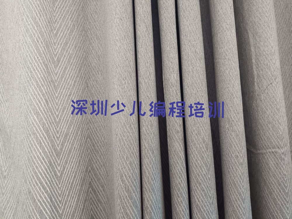 深圳少儿编程培训中心