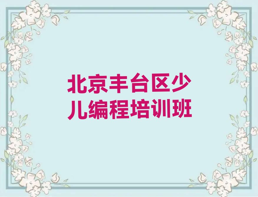 北京丰台区少儿编程培训班