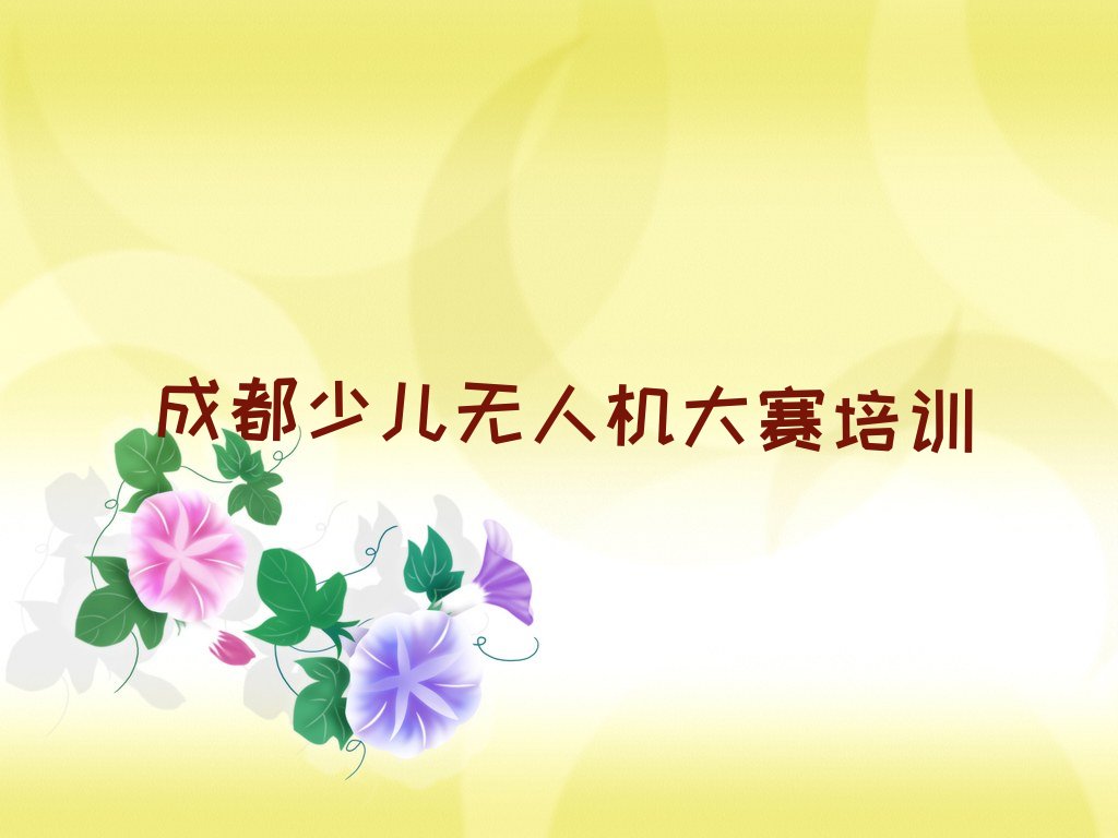 成都温江区永盛镇少儿无人机大赛培训学校