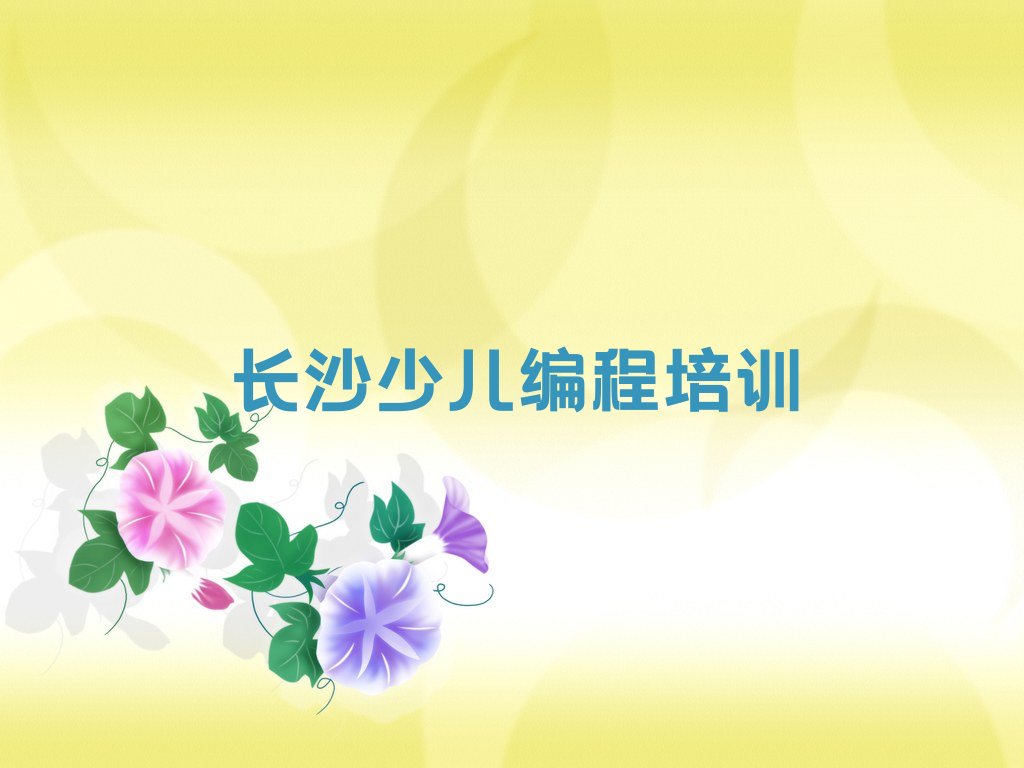 十大长沙岳麓区乐高编程老师推荐培训班排行榜
