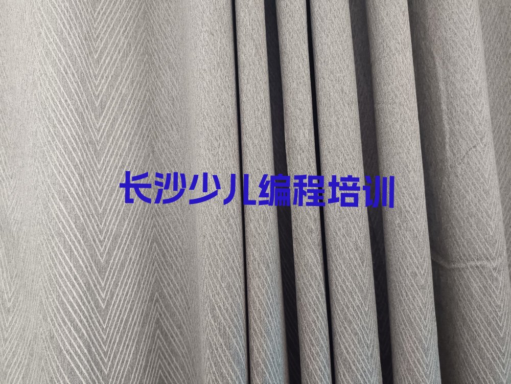 长沙岳麓区少儿编程培训学校