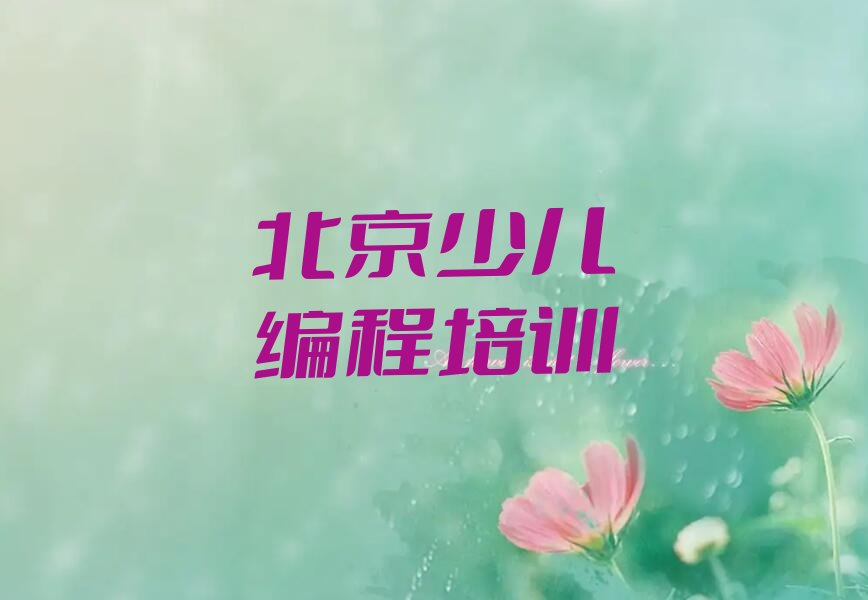 十大北京东城区知名的少儿AI机器人编程培训学校排行榜