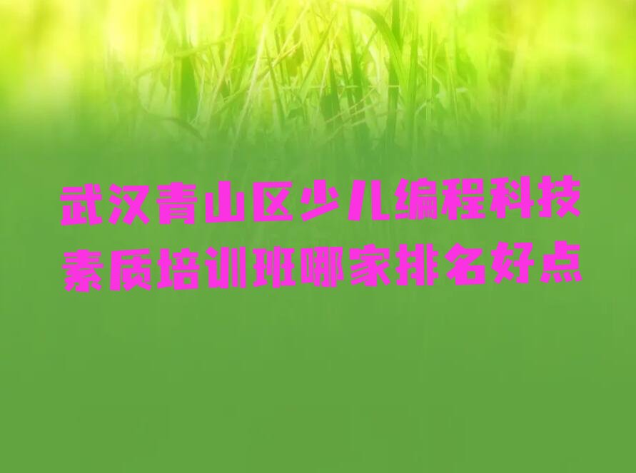 十大武汉青山区少儿编程科技素质培训班哪家排名好点排行榜