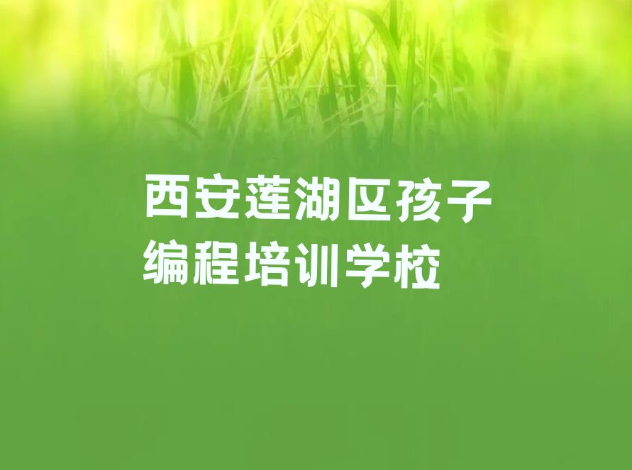 孩子编程