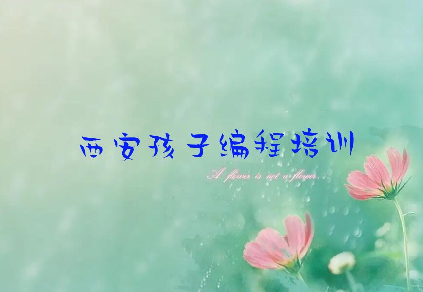西安莲湖区孩子编程培训学校