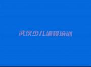 武汉江夏区中学高阶硬件编程辅导培训班榜单一览推荐排行榜