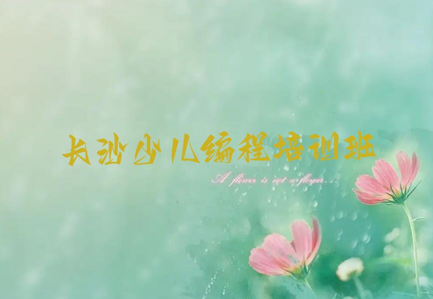 长沙少儿编程培训班