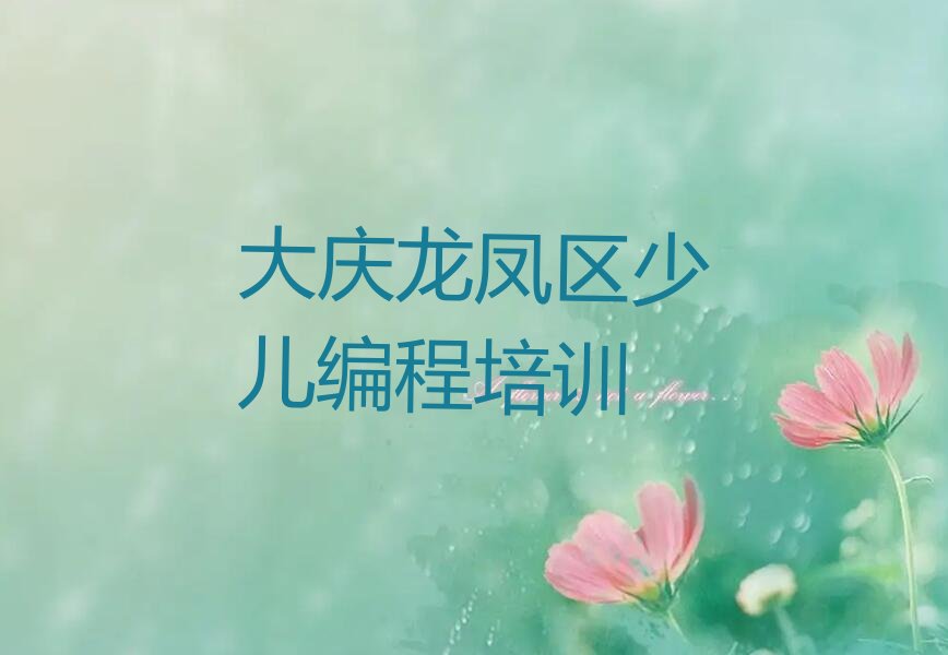 大庆龙凤区少儿编程培训
