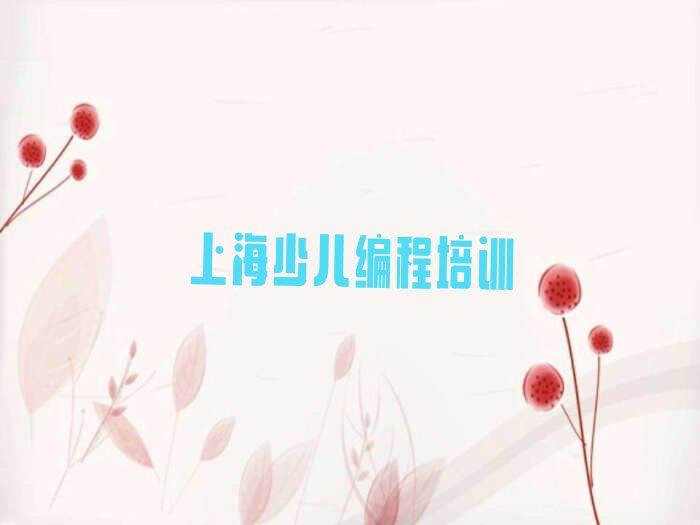 十大上海崇明区少儿编程科技素质培训学少儿编程科技素质排行榜
