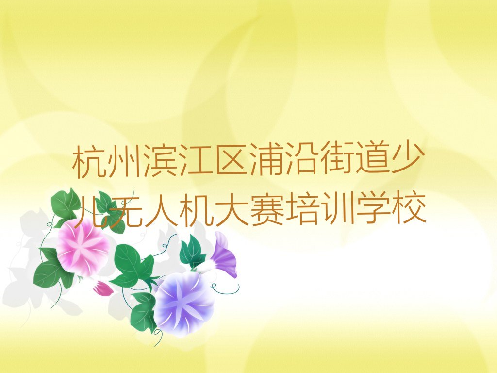杭州滨江区浦沿街道少儿无人机大赛培训学校