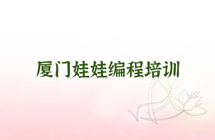 厦门翔安区娃娃编程培训学校