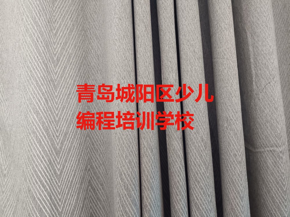 十大青岛惜福镇街道少儿编程价格多少钱一天排行榜
